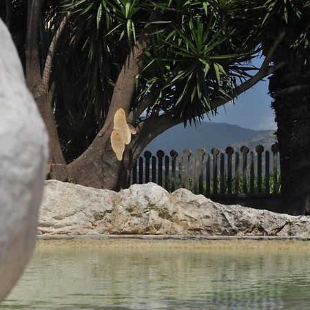 B&B Levante Paestum Mattine 외부 사진